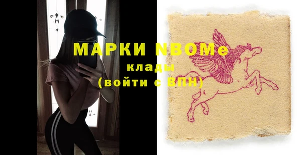 индика Армянск