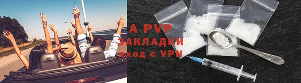 индика Армянск