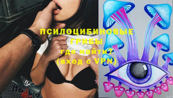 индика Армянск