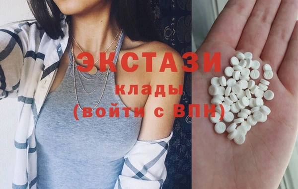 индика Армянск