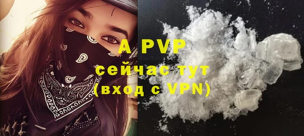 индика Армянск
