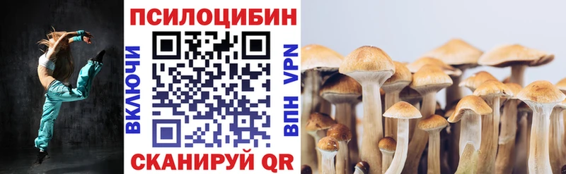 Псилоцибиновые грибы мухоморы как найти закладки Среднеуральск
